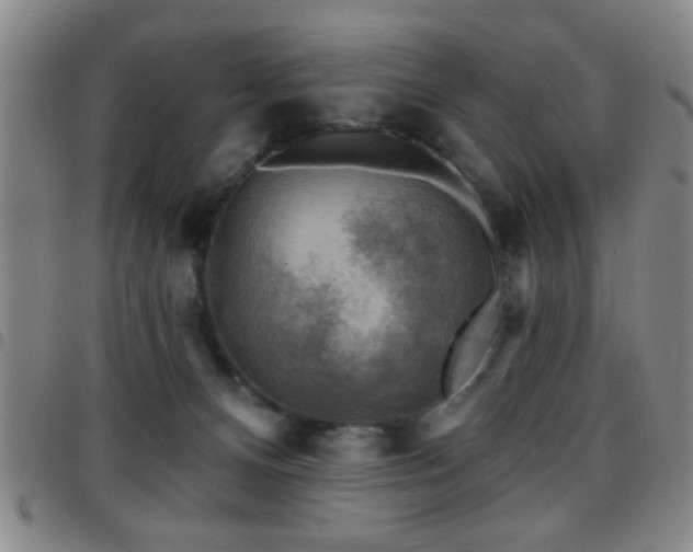 X0000097890128200803141341