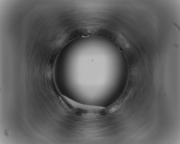X0000097890129200803141341