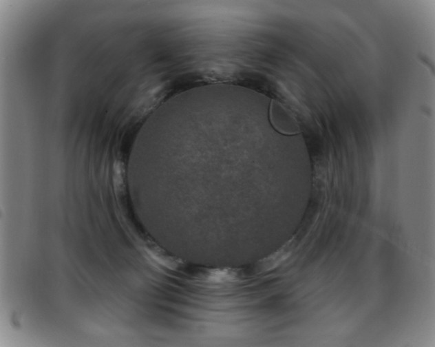 X0000097890130200803141341