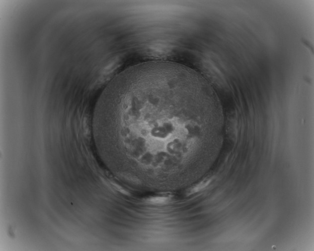 X0000097890131200803141341