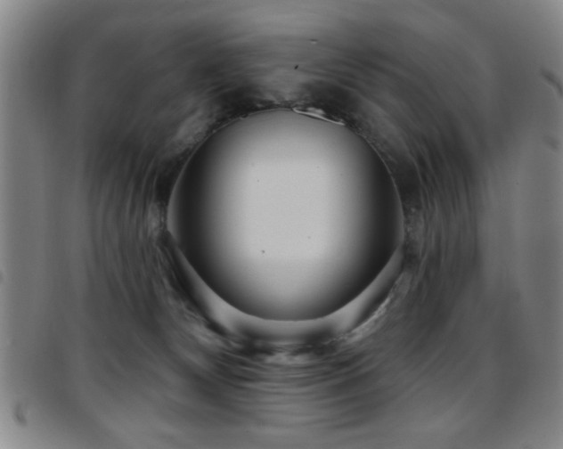 X0000097890132200803141341
