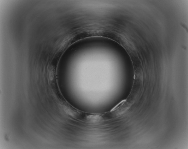 X0000097890133200803141341