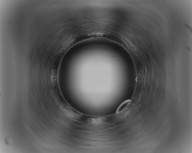 X0000097890134200803141341