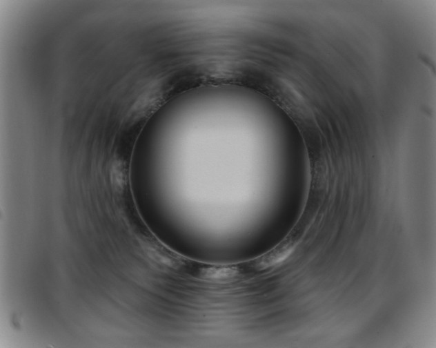 X0000097890135200803141341