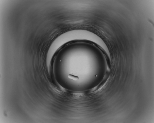 X0000097890136200803141341