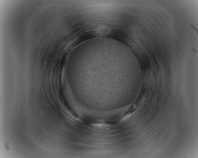 X0000097890137200803141341