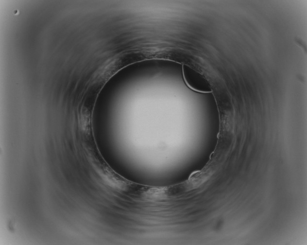 X0000097890138200803141341