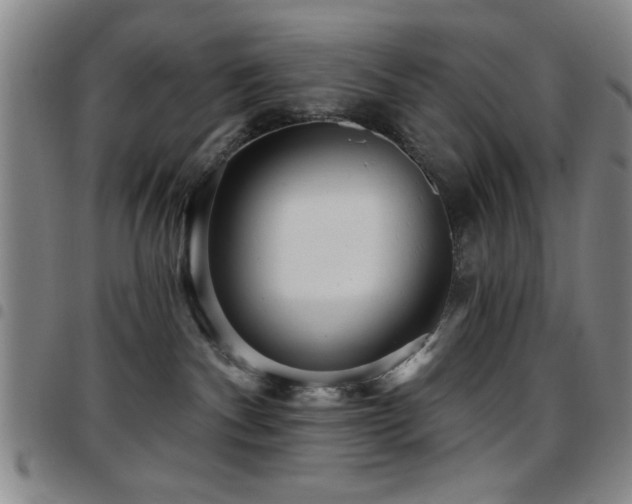 X0000097890140200803141341