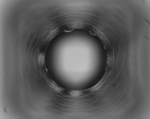 X0000097890142200803141341