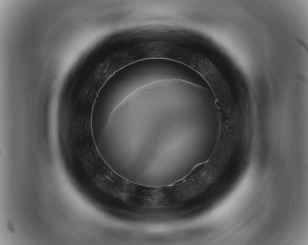 X0000097890143200803141341