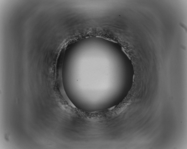 X0000097890144200803141341