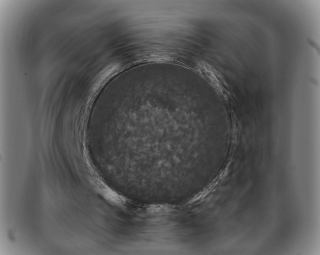 X0000097890145200803141340