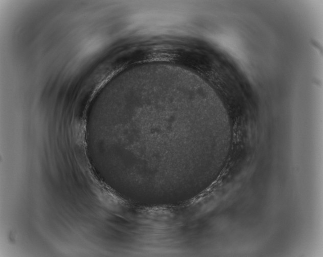 X0000097890146200803141340