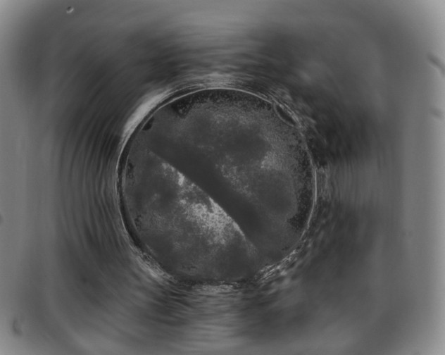 X0000097890147200803141340