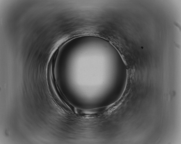 X0000097890148200803141340