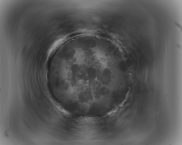 X0000097890149200803141340