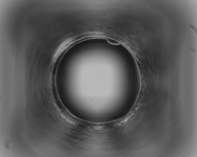 X0000097890151200803141340