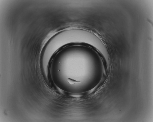 X0000097890152200803141340