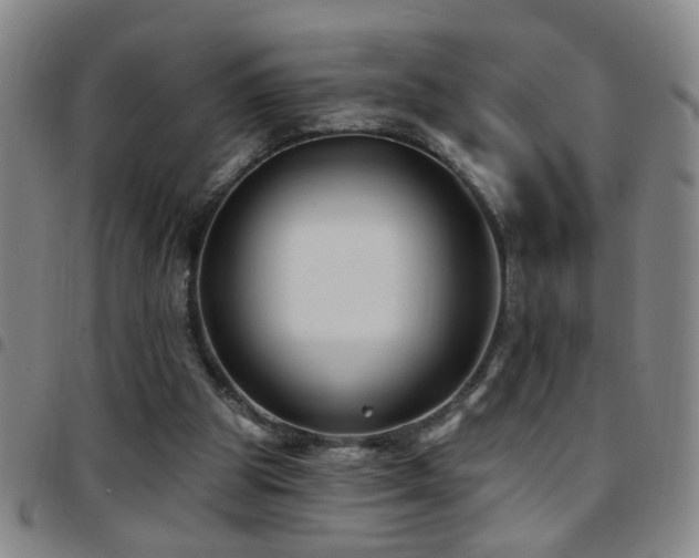 X0000097890153200803141340