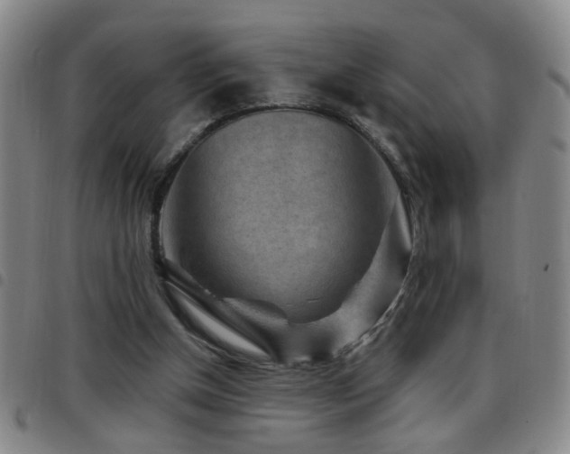 X0000097890154200803141340
