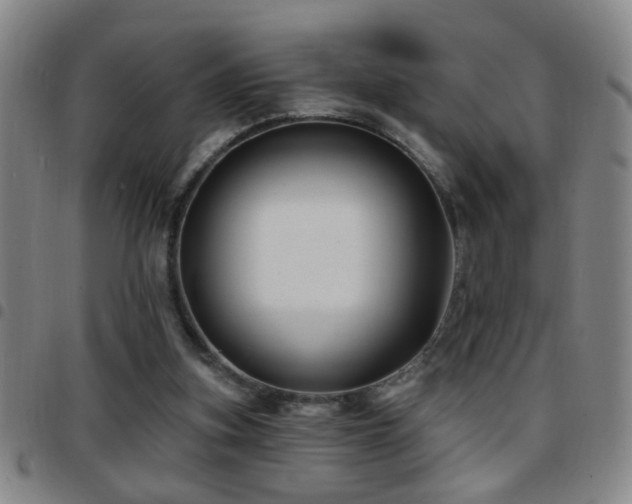 X0000097890155200803141340