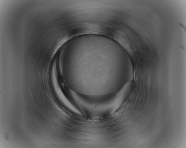 X0000097890156200803141340