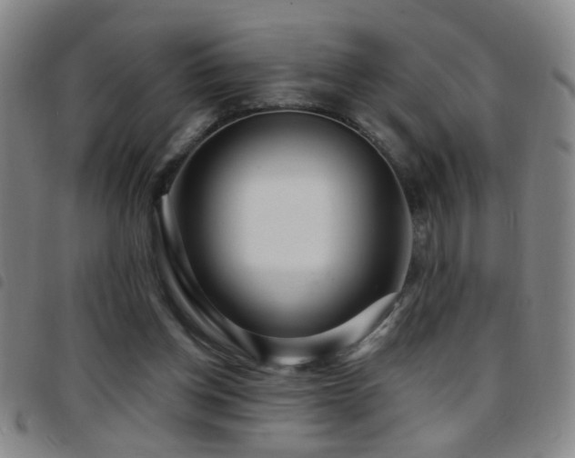 X0000097890158200803141340