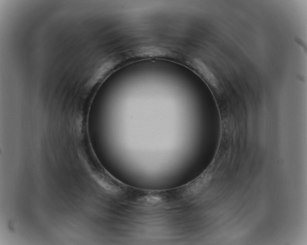 X0000097890159200803141340