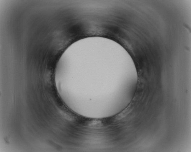 X0000097890162200803141340