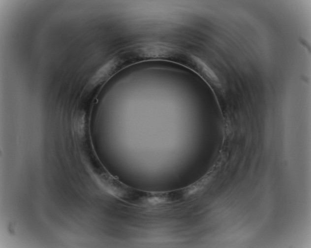 X0000097890163200803141340