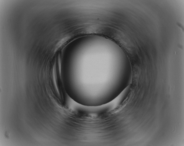 X0000097890164200803141340