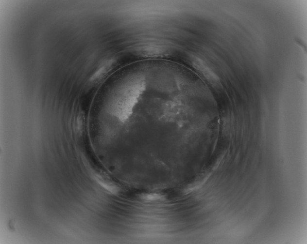 X0000097890165200803141340