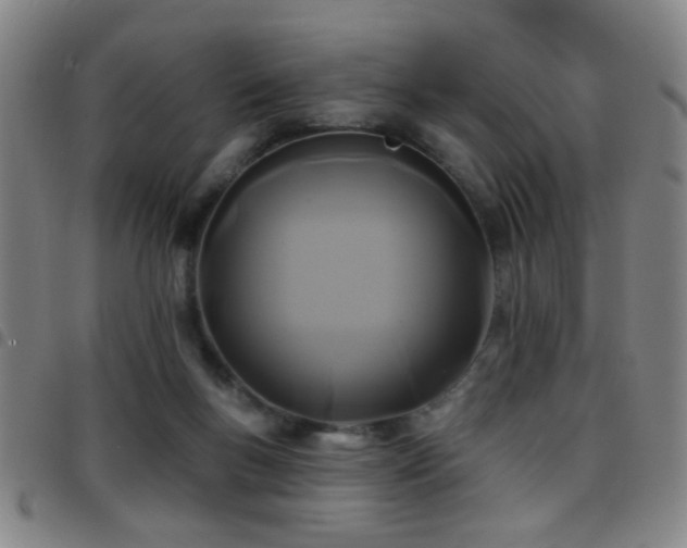 X0000097890167200803141341