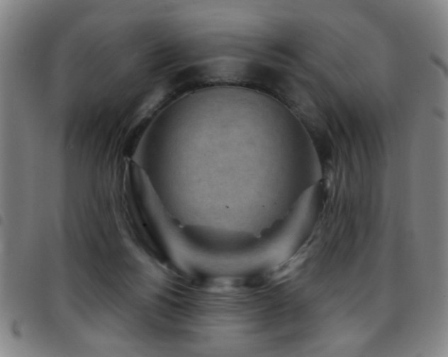 X0000097890168200803141341