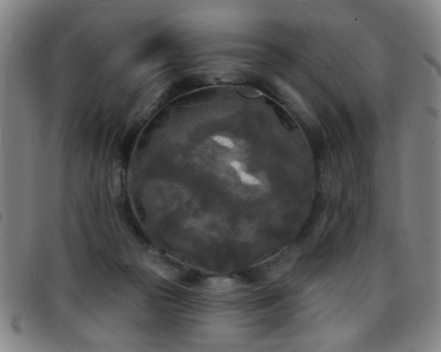 X0000097890169200803141341