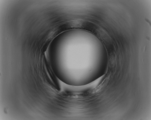 X0000097890172200803141341