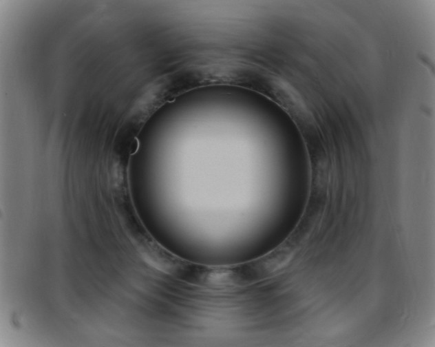 X0000097890173200803141341
