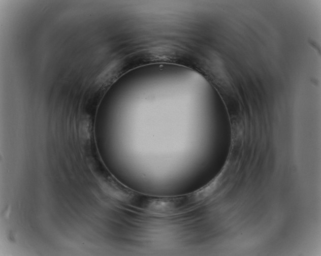 X0000097890174200803141341