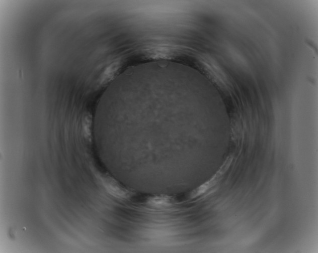 X0000097890175200803141341