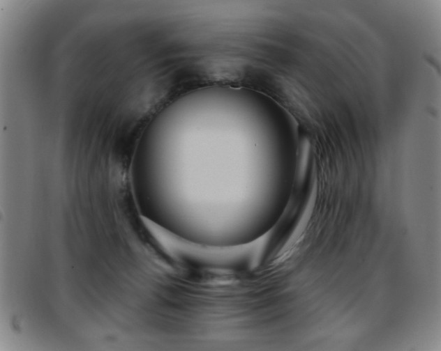 X0000097890176200803141341