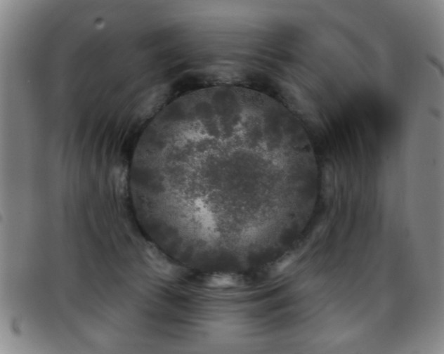 X0000097890177200803141341