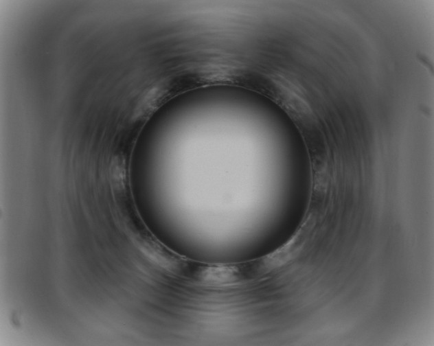 X0000097890179200803141341