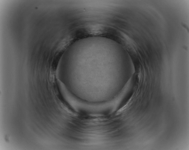 X0000097890180200803141341