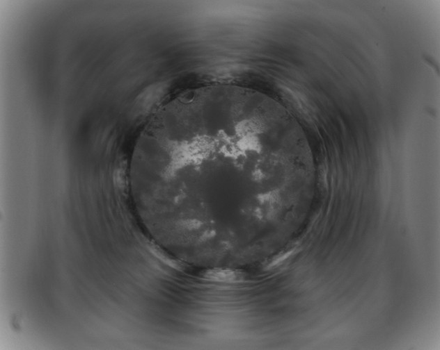X0000097890181200803141341