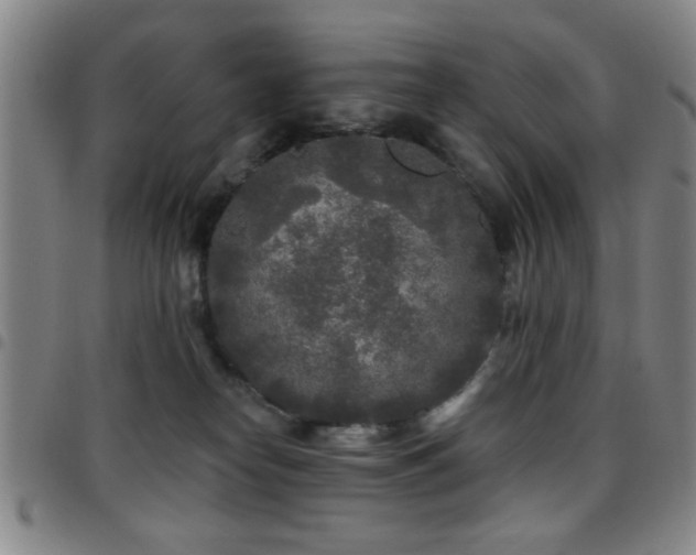 X0000097890182200803141341