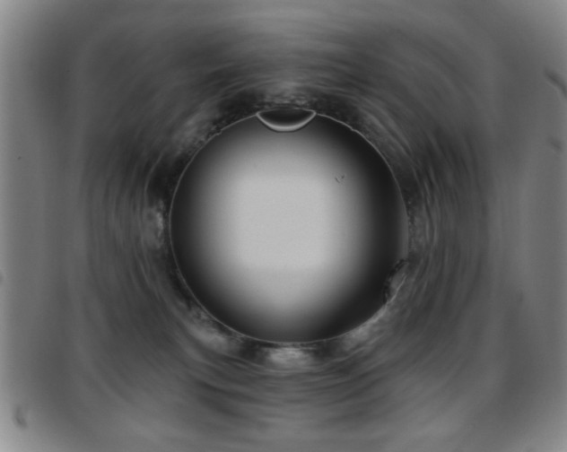 X0000097890183200803141341