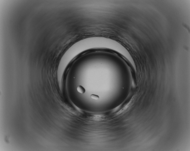 X0000097890184200803141341