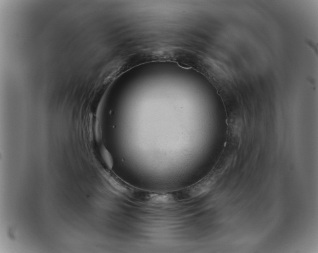 X0000097890185200803141341
