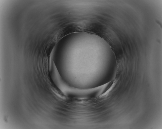 X0000097890186200803141341