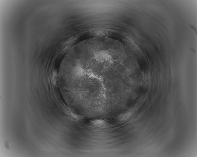 X0000097890189200803141341